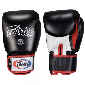 Fairtex Muay Thai Sytle Gloves