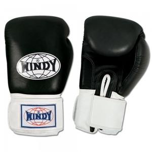 WindyBoxingGloves